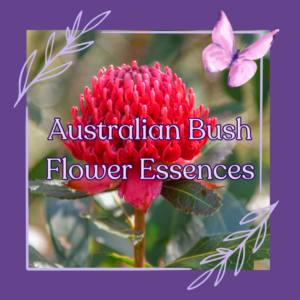 Australian Bush Flowers Essences