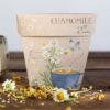 Chamomile A Gift of Seeds Packet