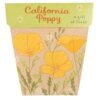 Californian Poppy A Gift of Seeds